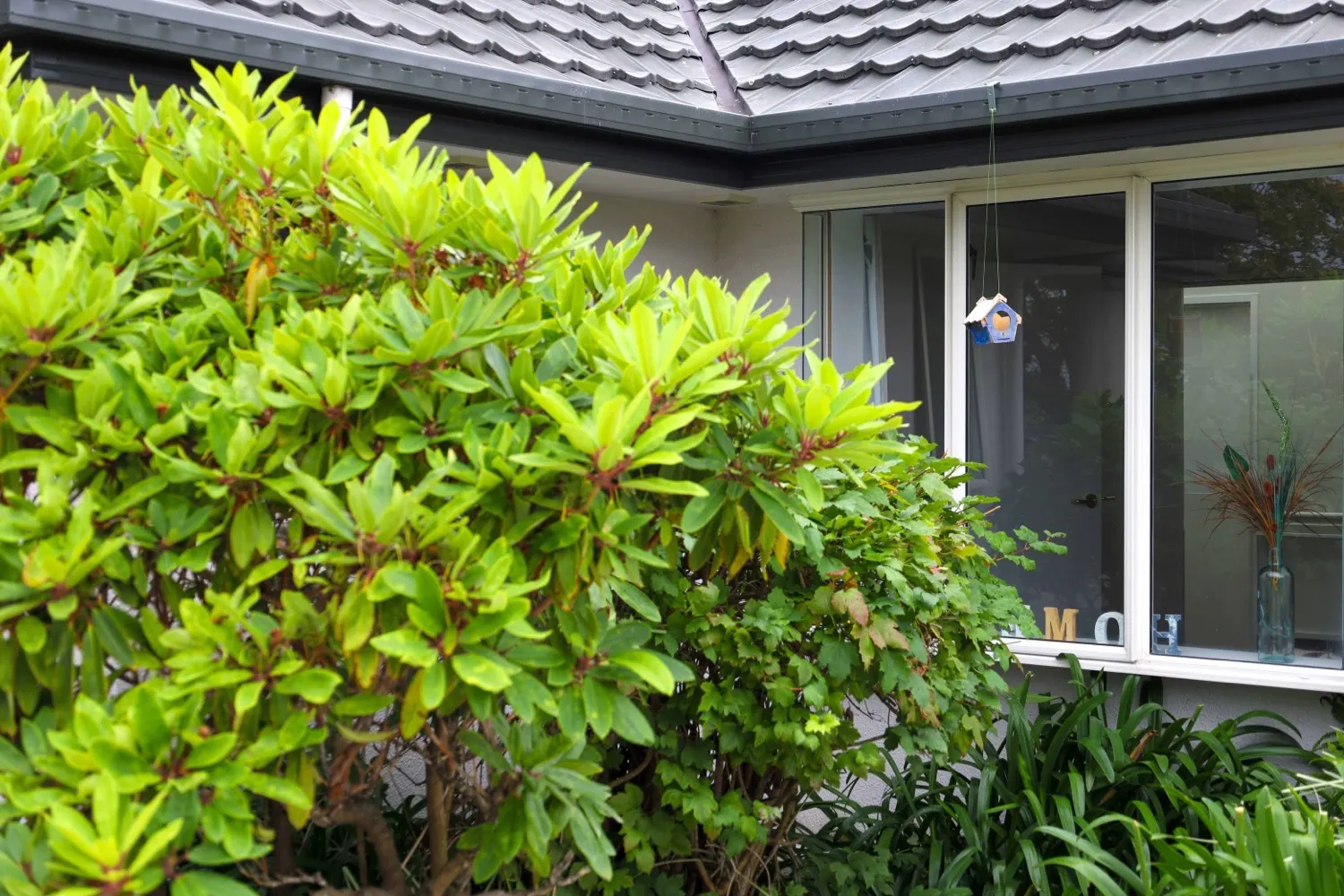 Life at Elms Court on Middlepark